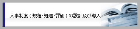 人事制度( 規程･処遇･評価)の設計及び導入