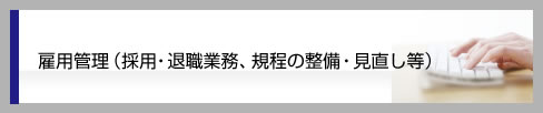 雇用管理（採用・退職業務、規程の整備・見直し等）